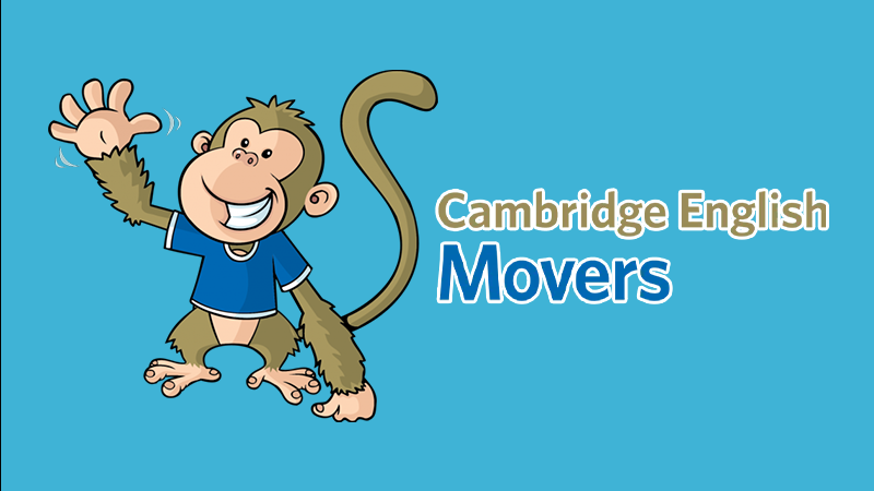 A1 Movers